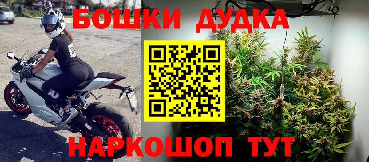 Бошки марихуана конопля Гатчина